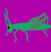 Image result for Night Cricket Bug