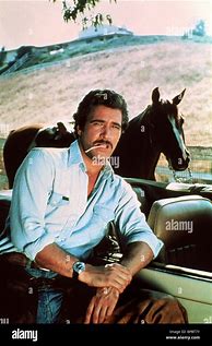 Image result for Lee Horsley Actor Movies
