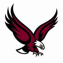 Image result for Eagles Team Logo