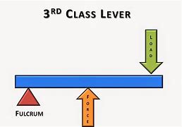 Image result for 3 Classes of Levers Examples