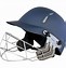 Image result for Cricket Stumps Clipart