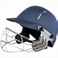 Image result for Cricket Kit PNG