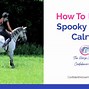Image result for Spooky Horse