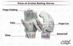Image result for Parts of Cricket Wicket Keeping Gloves