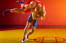 Image result for Odd Women Mats Wrestling