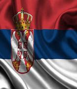 Image result for Serbian Flag Karadjordje