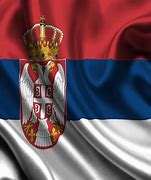 Image result for Serb Flag