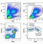 Image result for Blood Cells Flow Cytometry