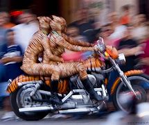 Image result for Texas Motorcycle Rally