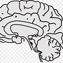 Image result for Human Brain Clip Art PNG Transparency Backgrounds