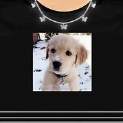 Image result for Roblox Dog Shirt