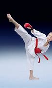 Image result for Martial Arts Kicking