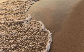 Image result for Beach Sand 4K