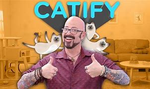 Image result for catify to please by jackson galaxy