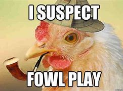 Image result for Chicken Meme Stickers