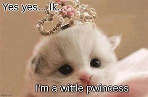 Image result for Princess Cat Meme