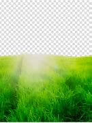 Image result for Nature Transparent Background
