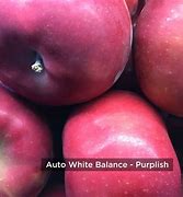 Image result for iPhone 6 Plus Camera Phofos
