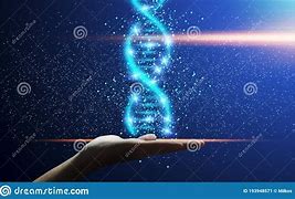 Image result for Genetics in Hand Shape