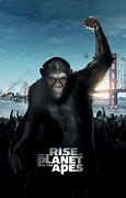 Image result for Rise of the Planet of the Apes Orangutan
