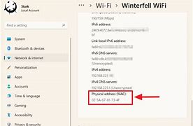 Image result for Wi-Fi Mac Address Windows 11