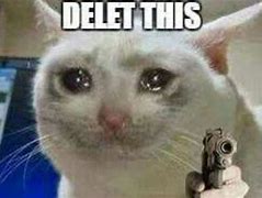 Image result for White Cat Crying Meme