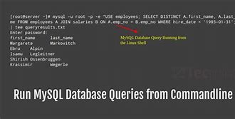 Image result for DSH Shell