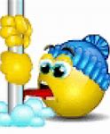 Image result for Cold Springs Emoji