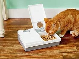 Image result for Automatic Cat Feeder