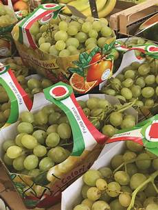 uva da tavola dove va l uva da tavola italiana uva da tavola dove va l uva da tavola italiana