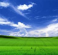 Image result for Old Windows XP Wallpapers