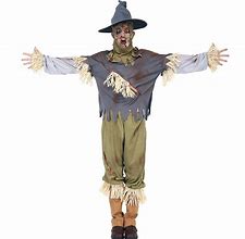 Image result for Easy Scarecrow Costume