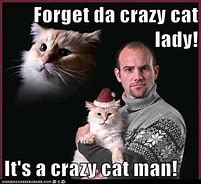 Image result for Crazy Cat Man Meme