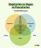 Image result for Vegan vs Vegetarian Venn Diagram