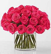 Image result for Hot Pink Roses Flower