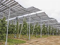 Image result for agri-alma