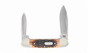 Image result for Buck Pocket Knife with Sheath