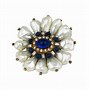 Image result for Baroque Pearl Brooch