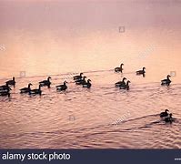 Image result for Somerset Autumn