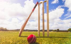 Image result for Cricket Bat or Ball