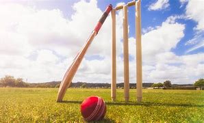 Image result for Real Cricket Bat and Ball