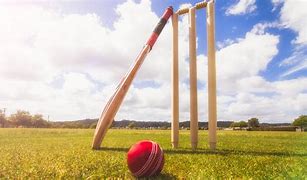 Image result for cricket bat and ball images