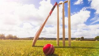 Image result for Cricket Bat Ball