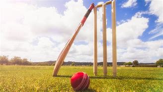 Image result for In Cutter Ball Cricket
