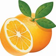 Image result for Orange Fruit Drawing