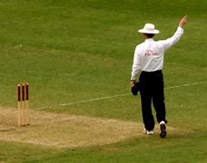 Image result for Famous Bald Cricket Players