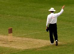 Image result for Cricket Umpire Australia Gosford
