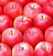Image result for Colorburst Red Apple Wallpaper