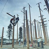 Image result for Pole Climbing Robot