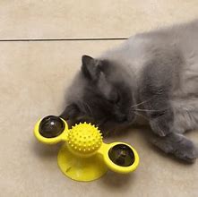 Image result for Catnip Balls Cat Toys